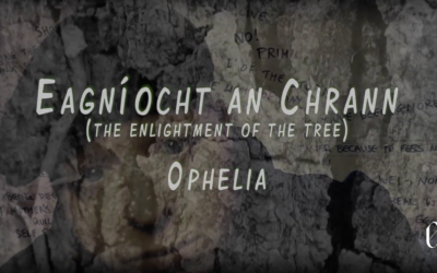0phelia – ‘The Enlightenment of the Tree’